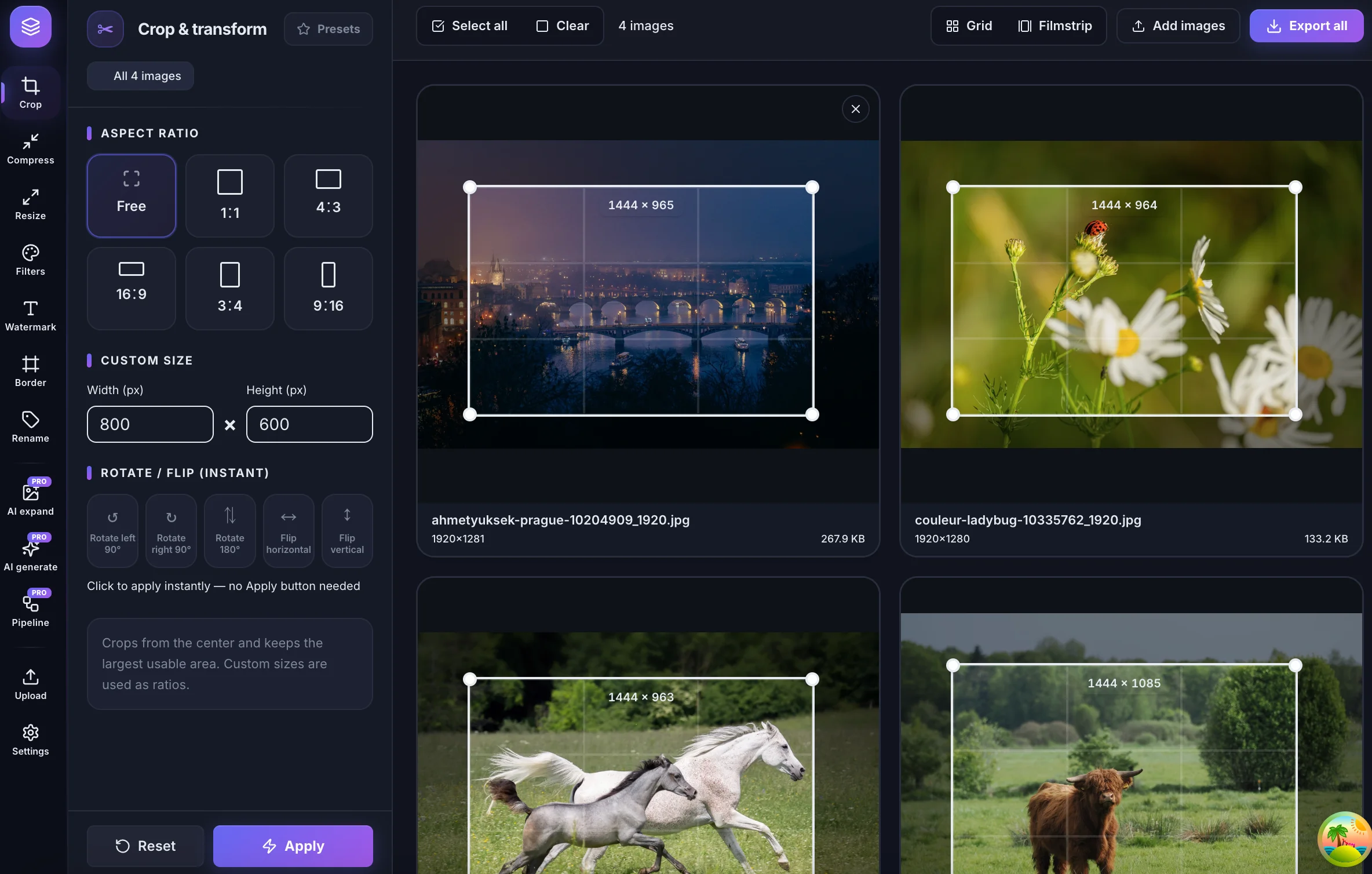 Bulk image editor with crop, compress, resize, and watermark tools